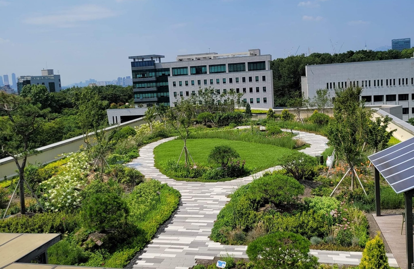 텅 빈 공간인 옥상의 변화, 옥상녹화